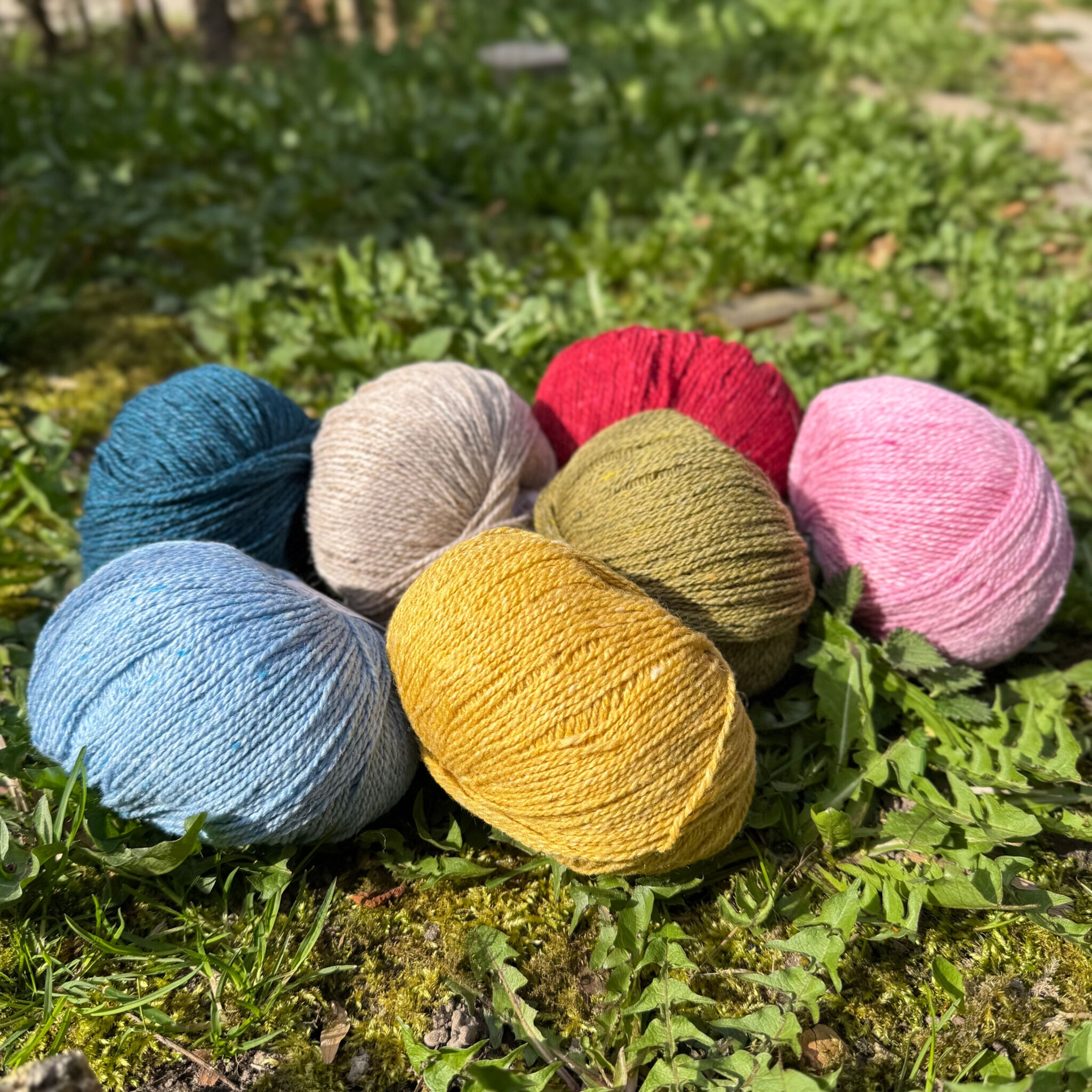 Tuscany Tweed (50 g)