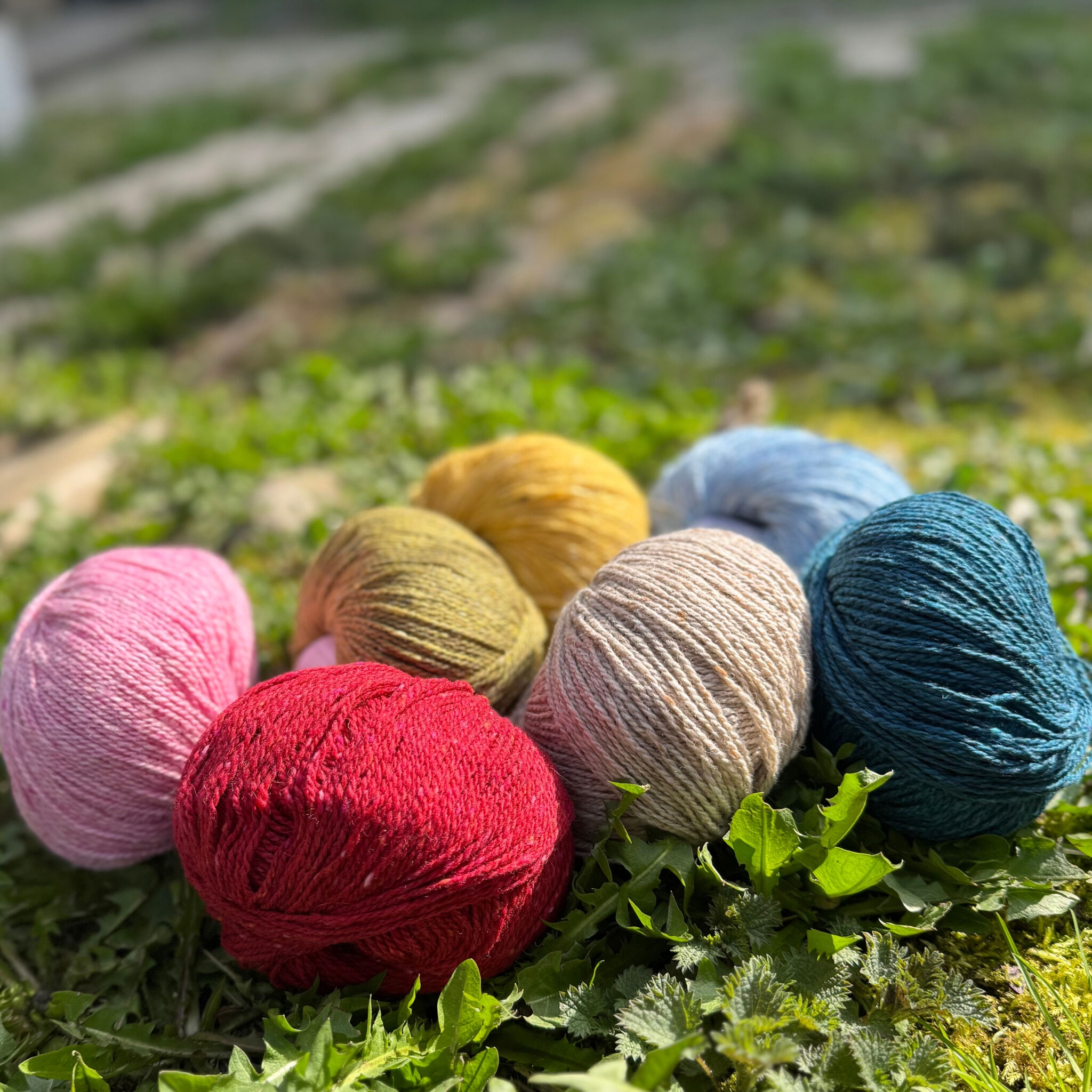 Tuscany Tweed (50 g)