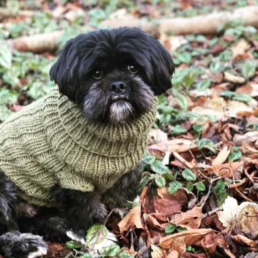 Pets (Viola Obel) oppskrift DANSK Pets (Viola Obel) oppskrift DANSK