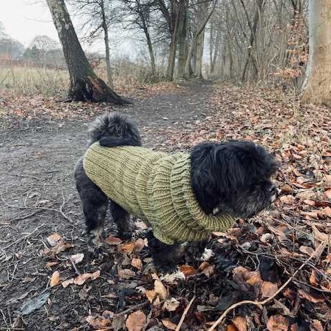 Pets (Viola Obel) oppskrift DANSK Pets (Viola Obel) oppskrift DANSK