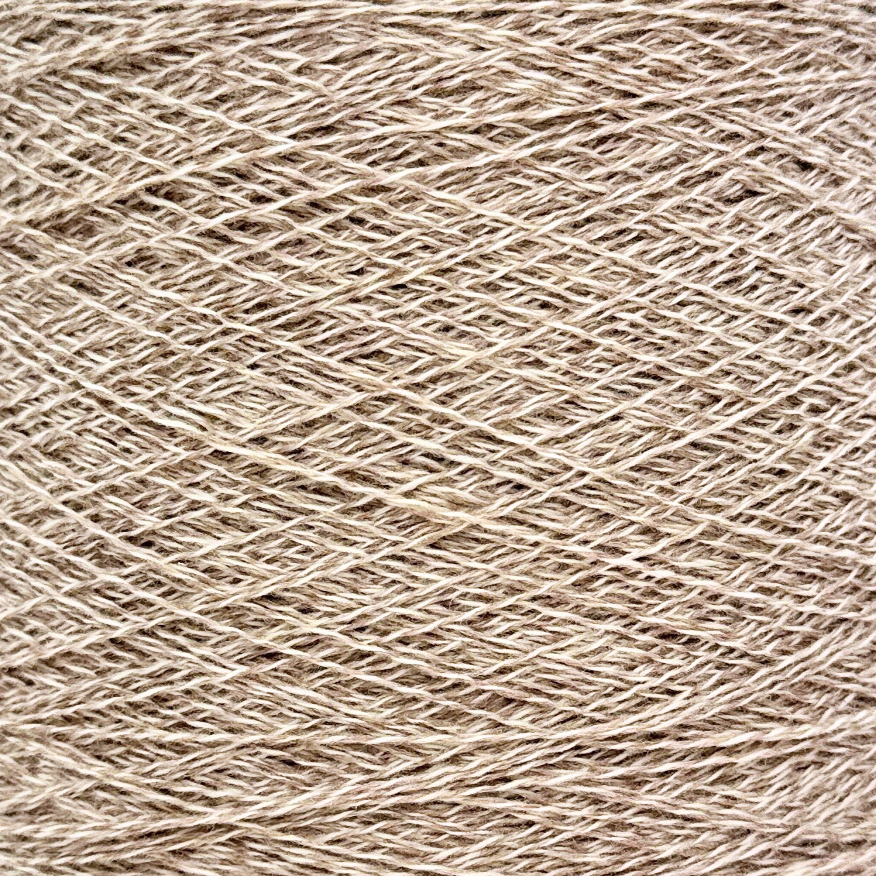 Evo Wool (900 g)