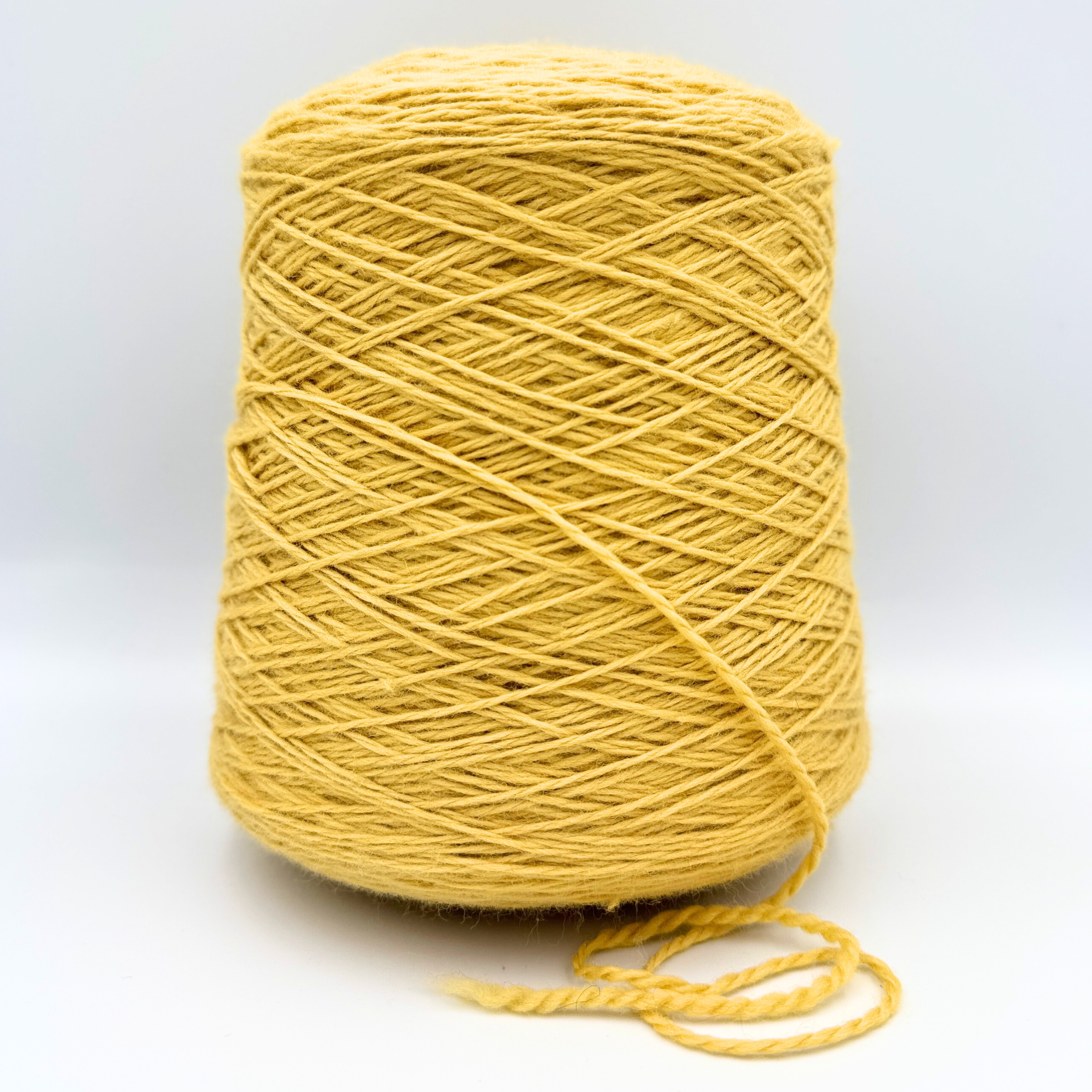 Semila (550 g) - Sennep